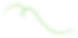 Dash value